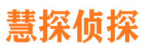 陵县调查公司